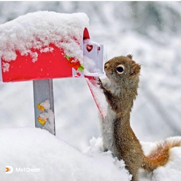 Meet your Posher, Mikeandhelen - Picture 1 of 1